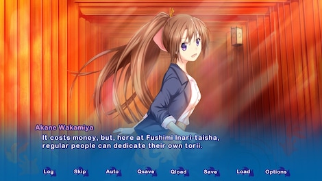 Kyoto Colorful Days Steam Key GLOBAL - 5