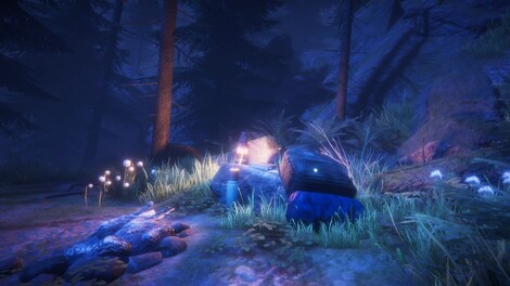 Lake Ridden Steam Key GLOBAL - 7