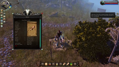 Legends of Dawn Reborn Steam Key GLOBAL - 17