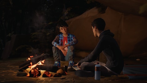 Life is Strange 2 Complete Season (PC) - Steam Account - GLOBAL - 4