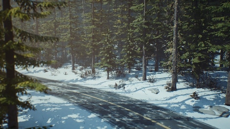 Life is Strange 2 - Episode 2 (PC) - Steam Key - GLOBAL - 10