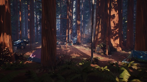 Life is Strange 2 - Episode 3 (PC) - Steam Key - EUROPE - 7