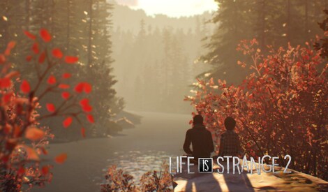 Life is Strange 2 - Episodes 2-5 bundle Steam Key RU/CIS - 0