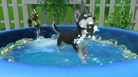 Little Friends: Puppy Island (PC) - Steam Gift - GLOBAL - 5