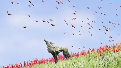 Lost Ember - Steam - Gift EUROPE - 7