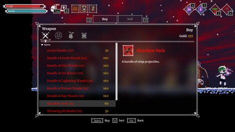 Lost Ruins (PC) - Steam Gift - NORTH AMERICA - 13
