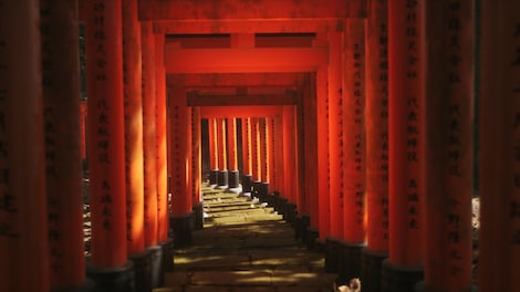 Lushfoil Photography Sim (PC) - Steam Gift - GLOBAL - 7