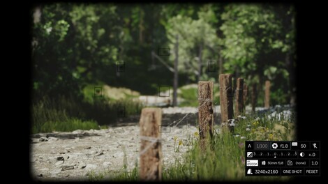 Lushfoil Photography Sim (PC) - Steam Key - NORTH AMERICA - 8