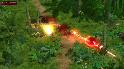 Magicka - Vietnam Steam Key GLOBAL - 8