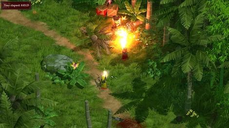 Magicka - Vietnam Steam Key GLOBAL - 4