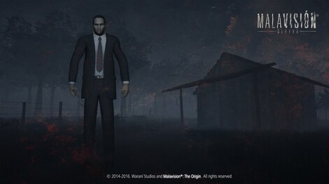 Malavision: The Origin Steam Key GLOBAL - 0
