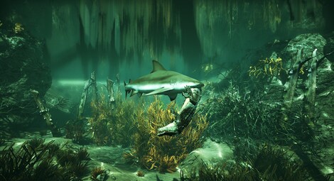 Maneater | Apex Edition (PC) - Epic Games Key - GLOBAL - 7