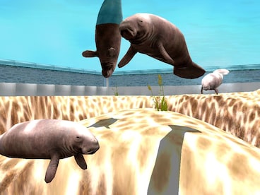 Marine Park Empire Steam Key GLOBAL - 11