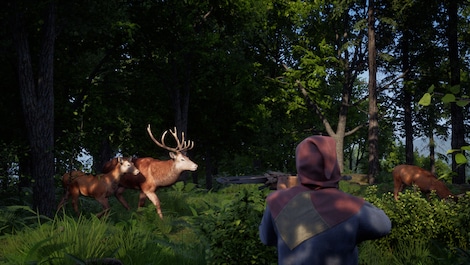 Medieval Dynasty (PC) - Steam Gift - NORTH AMERICA - 2