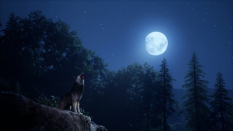 Medieval Dynasty (PS5) - PSN Account - GLOBAL - 14