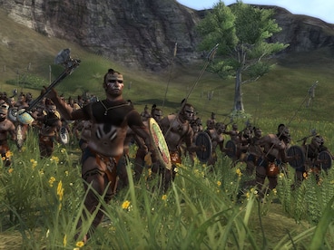 Medieval II: Total War Kingdoms Steam Key GLOBAL - 12