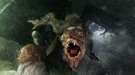 Metro Exodus and Metro Awakening VR Bundle (PC) - Steam Key - GLOBAL - 13