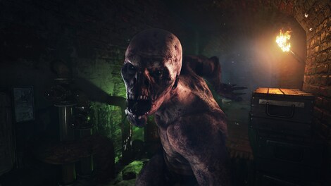 Metro Exodus | Gold Edition (Xbox Series X/S) - Xbox Live Key - TURKEY - 7