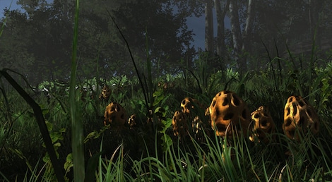 Miasmata Steam Key GLOBAL - 5