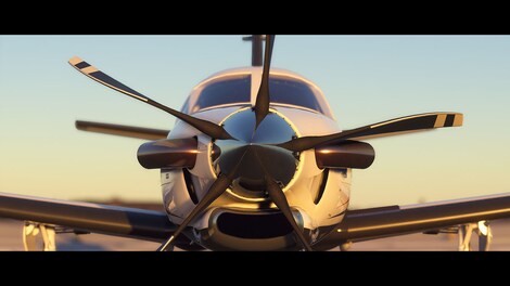 Microsoft Flight Simulator | Deluxe 40th Anniversary Edition (Xbox Series X/S, Windows 10) - Xbox Live Key - NIGERIA - 13