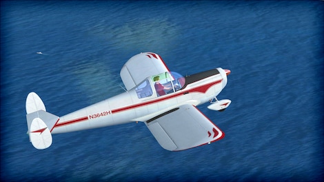 Microsoft Flight Simulator X: Steam Edition - ERCO Ercoupe 415C Add-On Steam Gift GLOBAL - 4