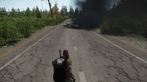 Miscreated (PC) - Steam Account - GLOBAL - 17