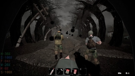 MISERY (PC) - Steam Key - EUROPE - 6