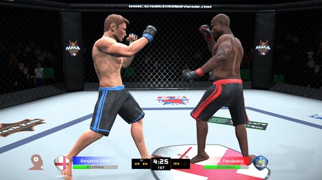 MMA Team Manager Steam Key GLOBAL - 5