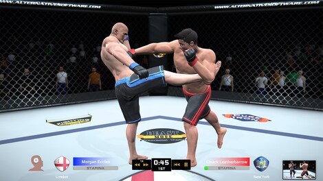 MMA Team Manager Steam Key GLOBAL - 13