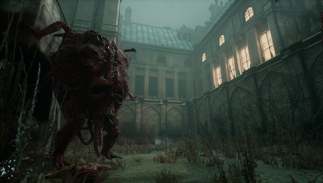 Morbid: The Lords of Ire (PS5) - PSN Key - EUROPE - 11