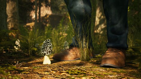 Morels: The Hunt - Steam - Gift EUROPE - 6