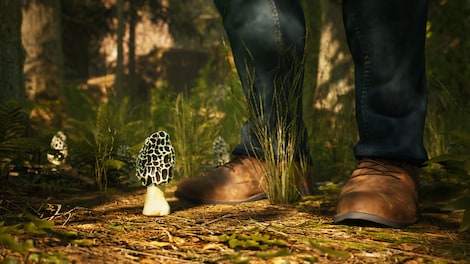 Morels: The Hunt - Steam - Gift GLOBAL - 6