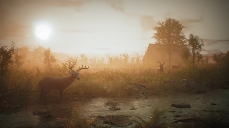 Morels: The Hunt - Steam - Gift GLOBAL - 7