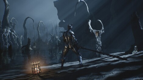 Mortal Shell II | Devout Edition (PC) - Steam Key - NORTH AMERICA - 3