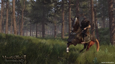 Mount & Blade II: Bannerlord (PC) - Steam Gift - NORTH AMERICA - 4