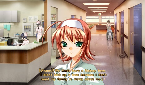 Muv-Luv Steam Gift EUROPE - 19