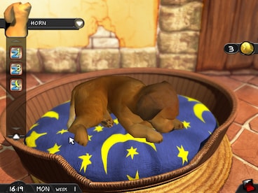 My Best Friends - Cats & Dogs Steam Key GLOBAL - 4