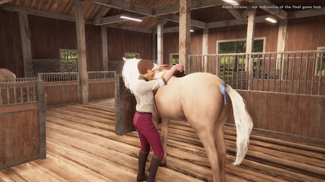 My Horse: Bonded Spirits (PC) - Steam Key - GLOBAL - 6