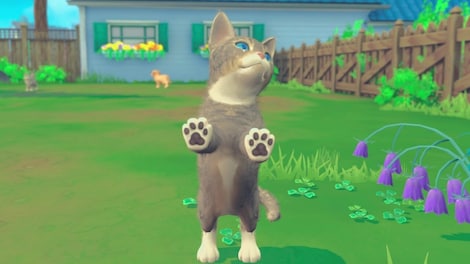 My Universe: Puppies and Kittens (Nintendo Switch) - Nintendo eShop Key - EUROPE - 6