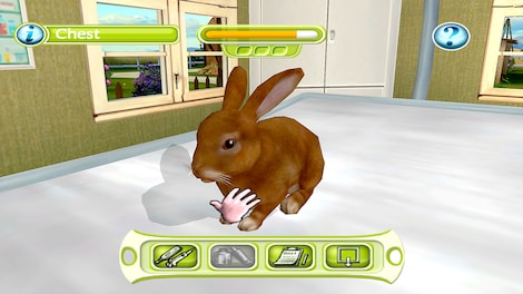 My Vet Practice Steam PC Key GLOBAL - 3