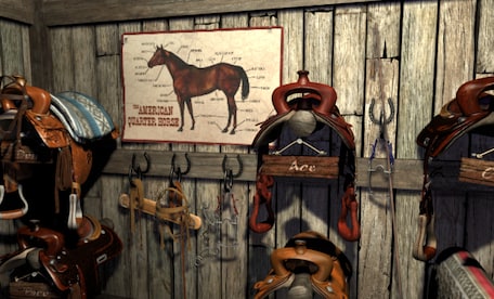Nancy Drew: The Secret of Shadow Ranch Steam Gift EUROPE - 0