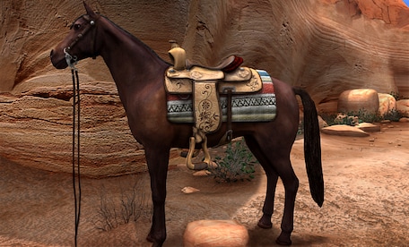 Nancy Drew: The Secret of Shadow Ranch Steam Gift GLOBAL - 7