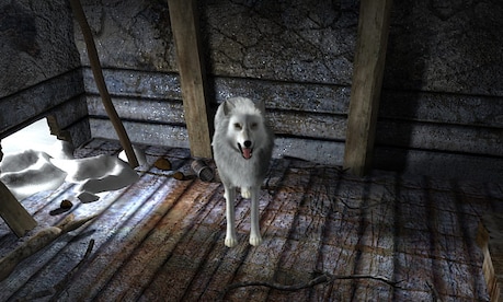 Nancy Drew: The White Wolf of Icicle Creek Steam Gift GLOBAL - 4