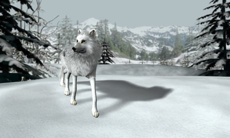 Nancy Drew: The White Wolf of Icicle Creek Steam Gift GLOBAL - 3