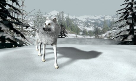 Nancy Drew: The White Wolf of Icicle Creek Steam Key GLOBAL - 3