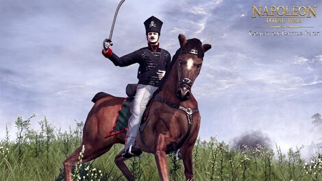 Napoleon: Total War - Coalition Battle Pack Steam Key GLOBAL - 8