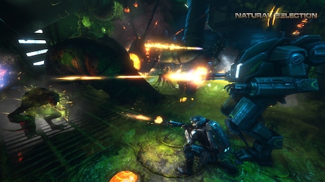 Natural Selection 2 - Mega Pack Steam Gift GLOBAL - 10
