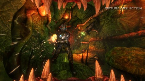 Natural Selection 2 Steam Gift LATAM - 13