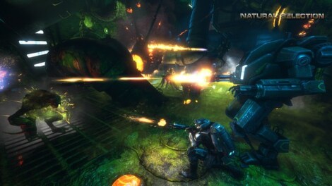 Natural Selection 2 Steam Gift UNITED KINGDOM - 10