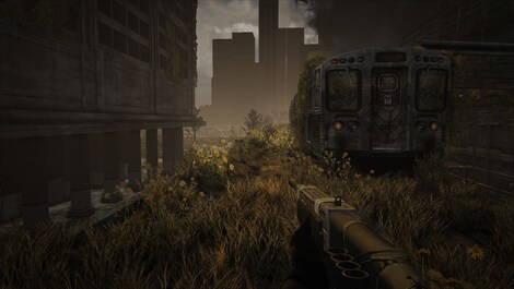 Nether - Believer Steam Key CIS - 8